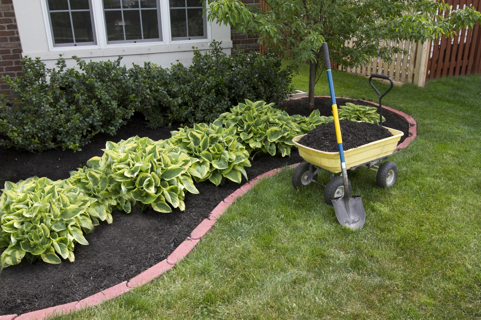 Entretien de jardin à Vergt