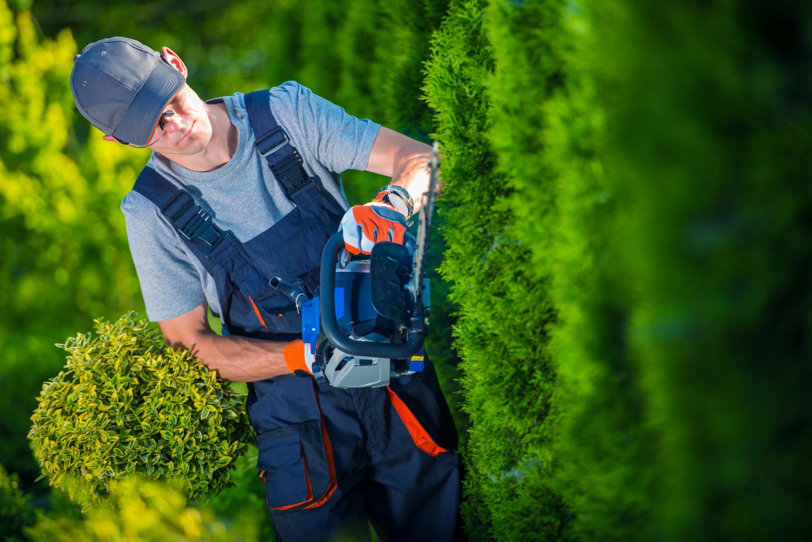 Entretien de jardin, Neuvic sur l'Isle<br>Paysagiste, Neuvic sur l'Isle<br>Taille d’arbres et d’arbustes, Neuvic sur l'Isle