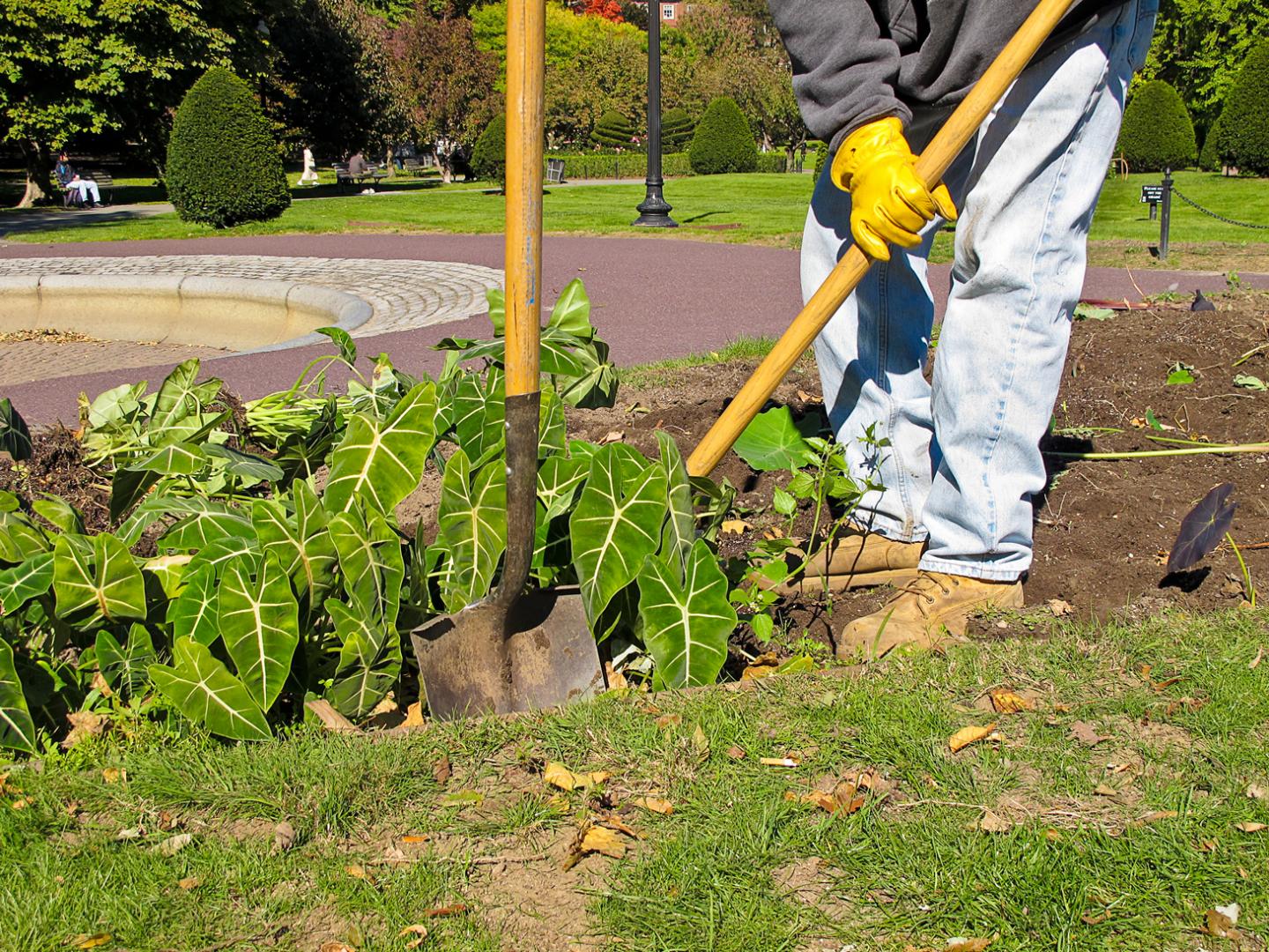 Entretien de jardin, Coursac<br>Contrat d’entretien d’espace vert, Coursac<br>Paysagiste, Coursac