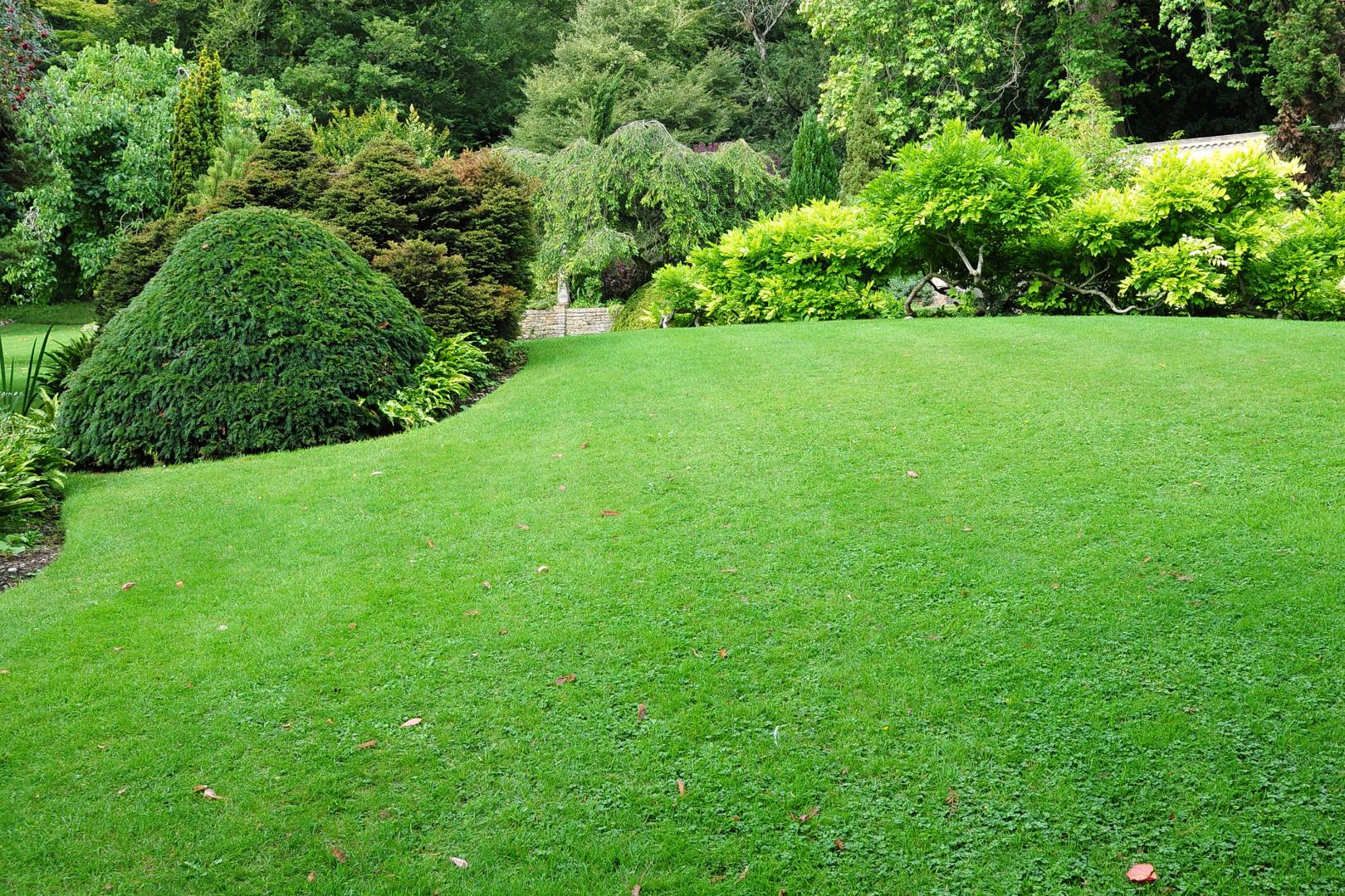 Paysagiste, Villamblard<br>Entretien paysager, Villamblard<br>Aménagement paysager, Villamblard