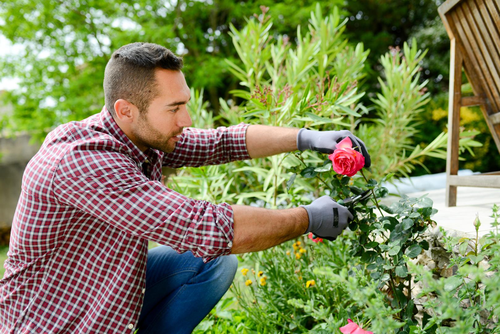 Création de jardin, Neuvic sur l'Isle<br>Aménager un espace vert, Neuvic sur l'Isle<br>Travaux d’aménagement paysager, Neuvic sur l'Isle